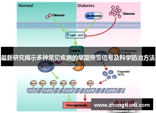 最新研究揭示多种常见疾病的早期预警信号及科学防治方法